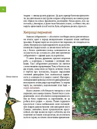 Тварини - майстри маскування. Енциклопедія для допитливих - Андрій Гапченко - мініатюра 8