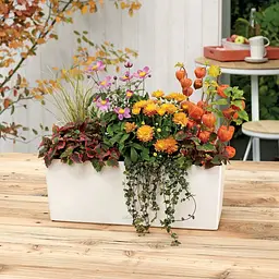 Вазон Lechuza Balconera Color 50/19/19 білий (15670) - мініатюра 3