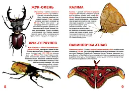 Велика книга Кристал Бук Комахи (F00015511) - мініатюра 3
