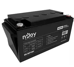 Акумуляторна батарея гелева GEL Njoy GE6512FF 12V 65 Ah - мініатюра 2