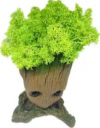 Кашпо горщик зі стабілізованим мохом Грут Groot G3 - мініатюра 4