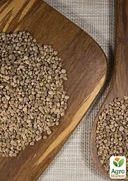 Насіння Agro-Market Шпинат Матадор на вагу ціна за 7 г (22090) - мініатюра 4