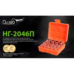 Набір головок торкс Alloid 1/4" 3/8" 1/2" DR Е4-Е24 14 шт (НГЕ-424K) - мініатюра 5