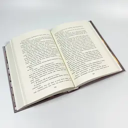 Пропаща принцеса - Кастен Мона | Readberry, книга українською, нова, тверда - мініатюра 3