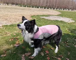 Літній охолоджувальний жилет для великих порід собак Derby Summer Dog Cooling Vest PPA0116, Pink, 2XL - мініатюра 3