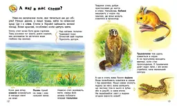 Книга Енциклопедія дошкільника (нова): Україна Ранок С614044У Різнокольоровий shop (9786170999948) - мініатюра 4