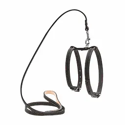 Шлея CoLLaR з повідцем для дрібних собак