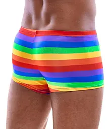 Чоловічі труси Svenjoyment Rainbow XL (мульті) - мініатюра 2
