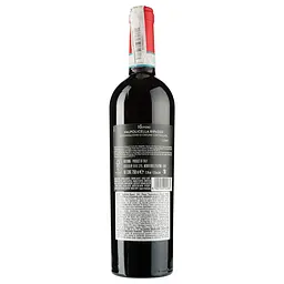 Вино Riondo Valpolicella Ripasso DOC, червоне сухе, 15,5%, 0,75 л - мініатюра 2