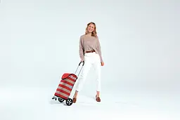 Сумка-візок Andersen Scala Shopper Anea Grey (112-175-20) - мініатюра 8