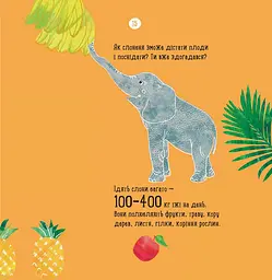 Книга Ранок Про що думає слон? - Наталія Чуб (S914001У) - мініатюра 7