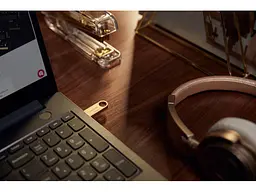 Флешка Kingston 64 GB DataTraveler SE9 Gen 3 Gold (DTSE9G3/64GB) - мініатюра 6