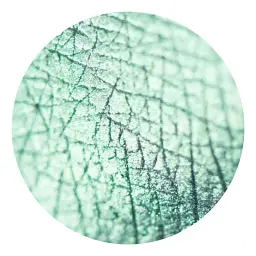 Розсипчасті тіні Sinart Make-Up With Passion тон 36 (Bright Green) 1 г - мініатюра 2