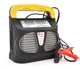 Зарядний пристрій для акумулятора WesunWell XX010 12V/24V (36-200Ah)