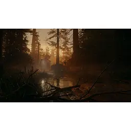 Ключ активації Microsoft Alan Wake 2 для Xbox Series S/X - мініатюра 8