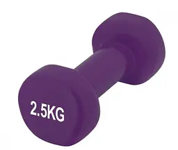 Гантелі вінілові PowerPlay 4125 Achilles 2*2.5 кг Фіолетові 2 шт + Гумка для фітнесу 7,5 кг (PP_4125_2.5kg_2in) - мініатюра 4