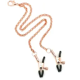 Нашийник із затискачами для сосків Liebe Seele Rose Gold Memory Collar With Nipple Clamps - мініатюра 3