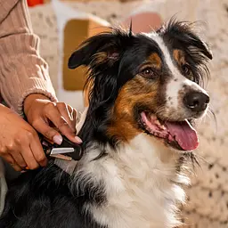 Ножиці для філірування Fiskars Pet Care (2009128) - мініатюра 6