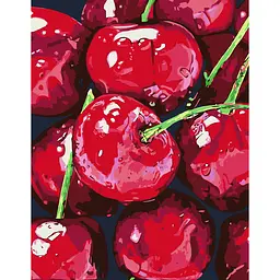 Картина за номерами Rosa Start Натюрморт. Вишні 35x45 см