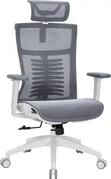 Офісне крісло OfficePro Balance OC620-W-DG-DG (OC620-W-DG-DG)