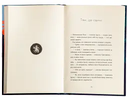 Драбина - мініатюра 4