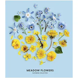 Зошит загальний Школярик Meadow flowers, в лінійку, 36 арк, УФ-лак, 20 шт. (036-3190L) - мініатюра 2