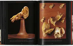 Anatomical Waxes. 45th Edition - мініатюра 23