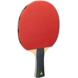 Набір для настільного тенісу Joola Quattro 4 Bats 10 Balls (54818) - мініатюра 4