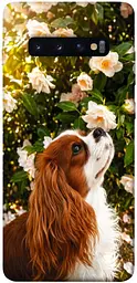 TPU чохол Demsky Flower spaniel для Samsung Galaxy S10+