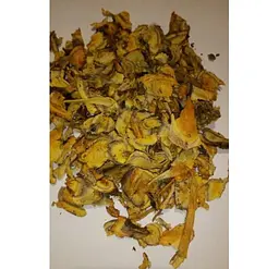 Ревінь Корінь Румбамбар Барбар Rheum officinalis