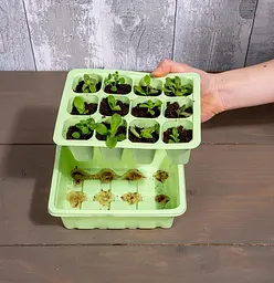 Міні-теплиця Kinzo Garden 12 комірок - мініатюра 10