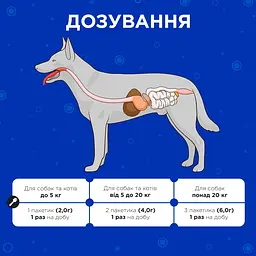 Пробіотики для собак та котів Modes Kombiflor для підтримки балансу мікрофлори кишківника 15 саше - мініатюра 4