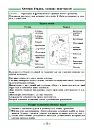 Довідник у таблицях. Природознавство. Біологія. 5–6 класи - Н. І. Островерхова - мініатюра 2