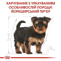 Сухий корм для цуценят породи Йоркширський Тер'єр Royal Canin Yorkshire Terrier Puppy, 7,5 кг (39720751) - мініатюра 2