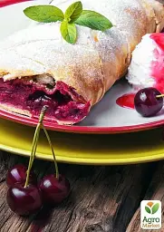 Саджанець Agro-Market Вишня Ерді Бутермо 1 шт. в упаковці (39887) - мініатюра 2