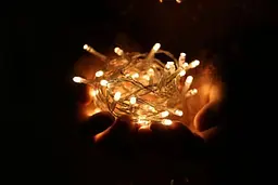 Світлодіодна гірлянда Leds нитка силікон 2 м 20 led батарейки АА - мініатюра 7