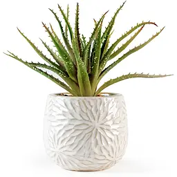 Горщик зі штучною рослиною МВМ My Home, 22 см, бежевий (DH-FLOWERS-13 GREEN/BEIGE)