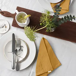 Набір серветок Cosas Curcuma 2 шт. 30х30 см гірчичний (Set-2Serviette_RanforsMustard_30) - мініатюра 3