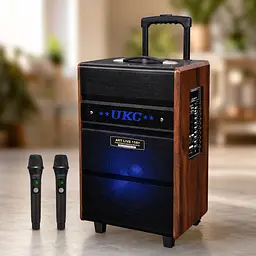 Портативна колонка Live 15 / Караоке-колонка + 2 мікрофони / Акустика з Bluetooth, USB-порт, слот для карт пам'яті SD, FM-радіо - мініатюра 3