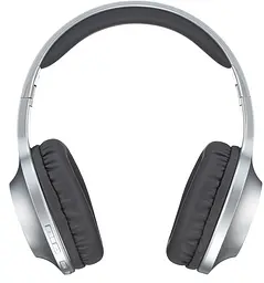 Гарнітура Panasonic RB-HX220BEE-S