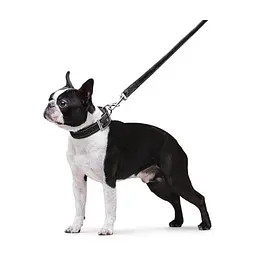 Повідець для собак Dog Extreme з нейлону подвійний Ш 20 мм Д 122 см чорний (42981) - мініатюра 6