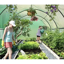 Теплиця садова - парник Holla Garden 300х200х200 см - мініатюра 11