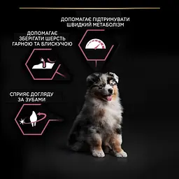Сухий корм Purina Pro Plan Medium Puppy <1 Sensitive Skin для цуценят середніх порід з чутливою шкірою з лососем 12 кг (12367295) - мініатюра 8