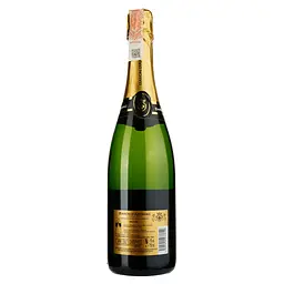 Вино ігристе Baron d'Arignac Demi-Sec, біле, полусухе, 11%, 0,75 л (27763) - мініатюра 2