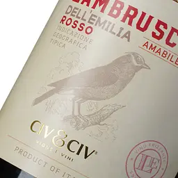 Вино напівігристе Civ&Civ Lambrusco dell'Emilia Rosso Amabile напівсолодке червоне 0.75 л - мініатюра 5