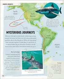 Amazing Animal Journeys - мініатюра 4