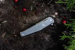 Ніж складаний Ruike P108-SF - мініатюра 9