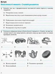 Біологія і екологія. 10 клас. Робочий зошит. Рівень стандарту - мініатюра 3