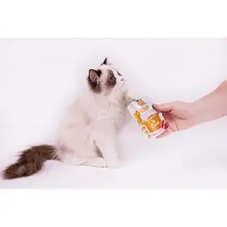 Корм вологий Brit Care Soup with Duck з качкою 75 г - мініатюра 7