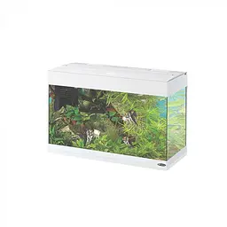Акваріум Ferplast DUBAI 80 LED WHITE 81 x 36 x h 51 cm